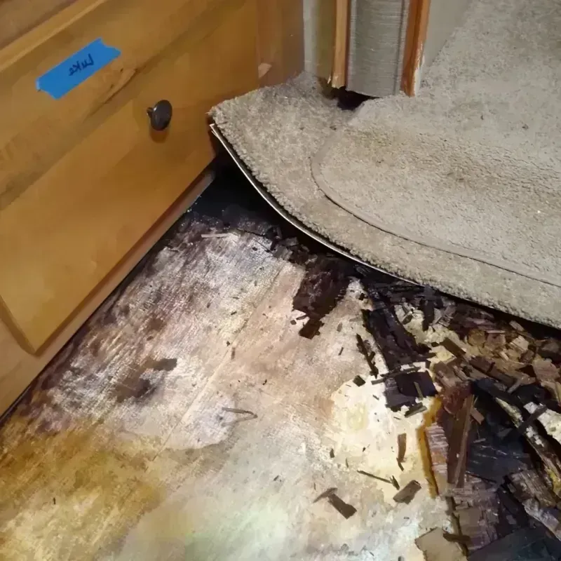 Wood Floor Water Damage in Cannon Falls, MN